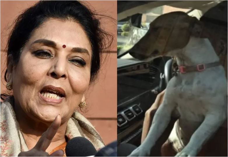 કોંગ્રેસના મહિલા સાંસદે સંસદમાં પાલતું કુતરું લાવી નવો વિવાદ સર્જ્યો, કહ્યું - કરડશે નહીં, કરડવ