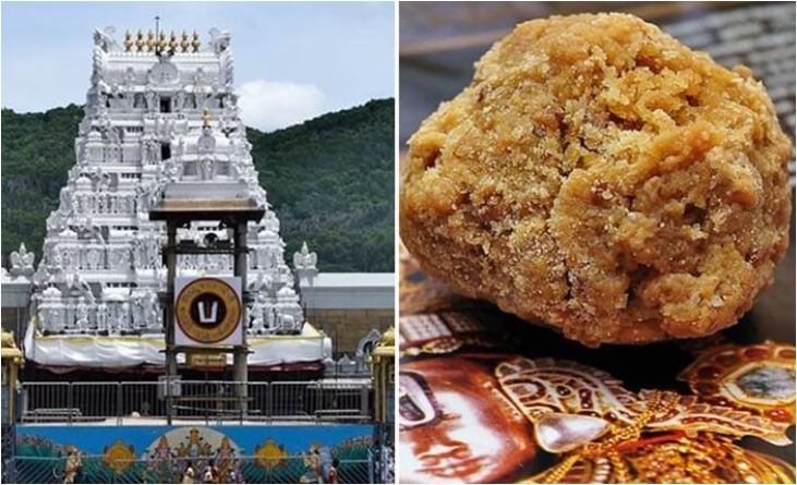 તિરુપતિ મંદિરના પ્રસાદ કૌભાંડમાં મોટો ઘટસ્ફોટ, આંકડો ૨૫૦ કરોડને પાર, જાણો સંપૂર્ણ વિગતો