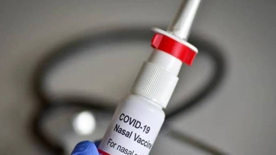 New Vaccine : કોરોના સામે લડવા મોદી સરકારે આ વેક્સિનને આપી મંજૂરી, જાણો શું છે ખાસિયત