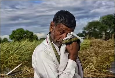 ગુજરાત સરકારનું રાહત પેકેજનું નોટીફીકેશન જાહેર, ખેડૂતો ઝડપથી અહીં ફોર્મ ભરી મેળવે આટલી સહાય, જા