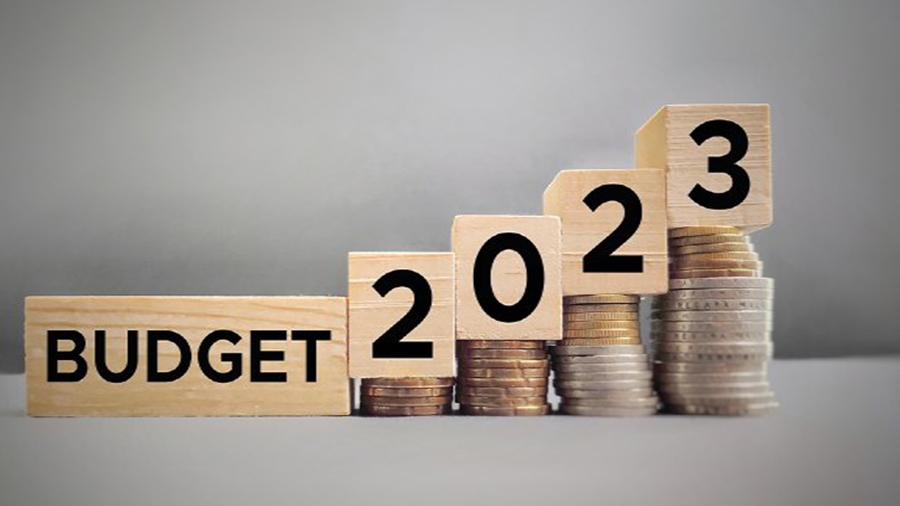 Budget 2023 : બજેટ રજૂ થાય તે પહેલા ખરીદી લો આ વસ્તુઓ, પછી તો નક્કી ભાવમાં થશે વધારો