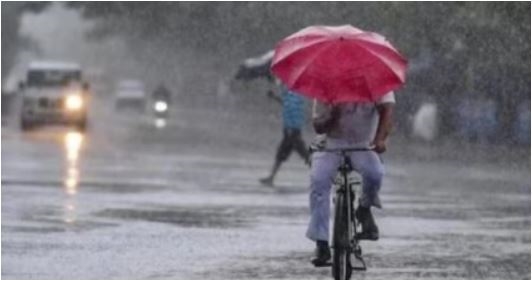 નવું વર્ષ ગુજરાતના ખેડૂતો માટે ચિંતા લઈને આવ્યું! ઠંડીએ જોર બતાવ્યું નથી ત્યાં વરસાદે દસ્તક દીધ