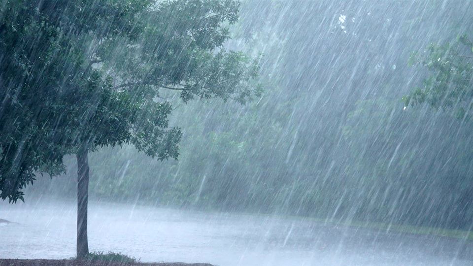 Monsoon Alert 2024 : રાજ્ય પર મેઘરાજાના ભયંકર ‘આક્રમણ’નો ખતરો! ડિપ ડિપ્રેશન ગુજરાતના આ શહેરથી મ