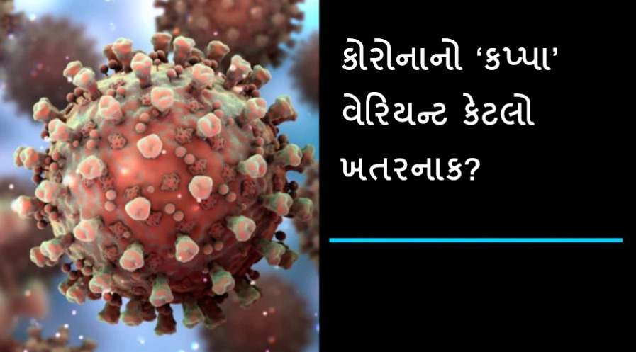 દેશના અમુક રાજ્યોમાં જોવા મળેલો કોરોનાનો ‘કપ્પા’ વેરિયન્ટ કેટલો ખતરનાક છે?