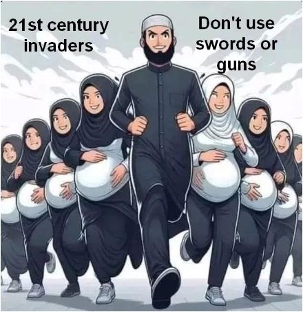 ભારતની જમીન પર બાંગ્લાદેશી મુસ્લિમોએ કર્યો અતિક્રમણથી કબજો!