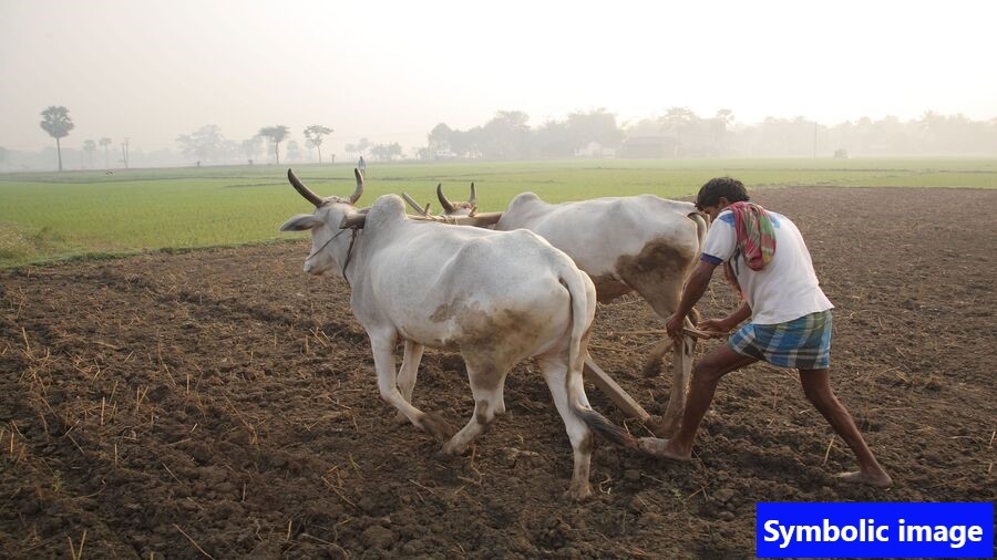 ગુજરાતના ખેડૂતો હવે ખેડૂત નહિ ખેતમજુર બનાવવા માટે તૈયાર રહેજો...!