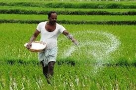 ખેડૂતોએ ક્યારે કર ચૂકવવો પડશે? અહીં સમજો કે આવકવેરાના નિયમો શું છે