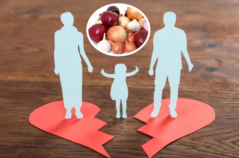 બોલો! લસણ-કાંદાને કારણે ગુજરાતી કપલના છૂટાછેડા થયા; જાણો શું છે આખો મામલો