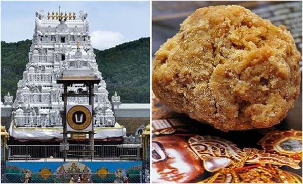 તિરુપતિ મંદિરના પ્રસાદ કૌભાંડમાં મોટો ઘટસ્ફોટ, આંકડો ૨૫૦ કરોડને પાર, જાણો સંપૂર્ણ વિગતો