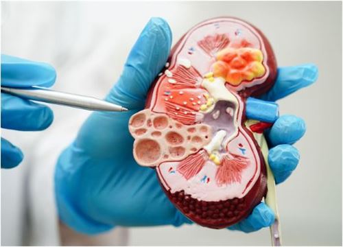 શું તમે પણ કિડની સંબંધી સમસ્યાઓથી બચવા માંગો છો? તો આ શાકભાજીને ભૂલથી પણ આ રીતે ન ખાતા? જાણો વિ