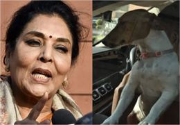 કોંગ્રેસના મહિલા સાંસદે સંસદમાં પાલતું કુતરું લાવી નવો વિવાદ સર્જ્યો, કહ્યું - કરડશે નહીં, કરડવ