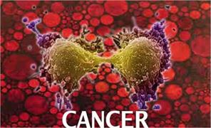 શિયાળાનું આ સુપરફૂડ છે વિવિધ કેન્સર માટે રામબાણ ઈલાજ, જાણો તેને ઉપયોગ કરવાની સાચી પદ્ધતિઓ