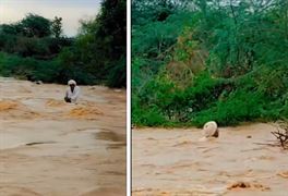 Gujarat Heavy Rainfall Alert: ચોમાસાની ધમાકેદાર શરૂઆત રાજ્યના લોકો માટે બની કાળમુખી, આટલા લોકોન