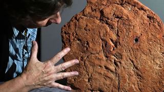 Rare Handprint: આ દેશમાંથી 4000 વર્ષ જૂનું હાથનું નિશાન મળ્યું, સામે આવી રસપ્રદ જાણકારી