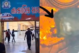 ખાદ્ય તેલમાંથી મૃત ઉંદર નીકળ્યો! 3 લોકોને હોસ્પિટલ ખસેડાયા