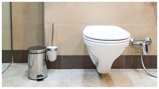 88 કરોડમાં એક ટોયલેટ સીટ વેચી રહ્યો છે શખ્સ, આખરે કેમ આટલું મોંઘું વેચાશે ટોયલેટ?