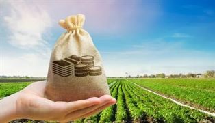 ગુજરાતના ખેડૂતોના વહારે આવી આ બેન્ક, 0% વ્યાજે આપશે લોન