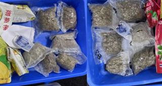 સુરત એરપોર્ટ પરથી ગાંજો ઝડપાયો