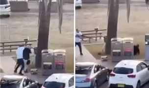 સિડનીમાં આતંકી હુમલો! 16 લોકોના મોત, પાકિસ્તાન સાથે છે ઘટનાનું કનેક્શન?