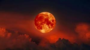 આ ગ્રહણ ભારતમાં ક્યાં જોવા મળશે?