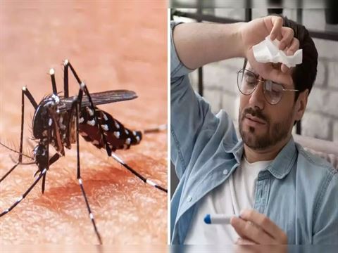 ચિકનગુનિયાના લક્ષણો અને ઉપાયો