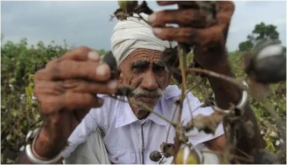 સરકારનો ખેડૂતપ્રેમી નિર્ણય