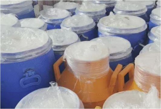 754 કિલો પનીર સીઝ કરાયું