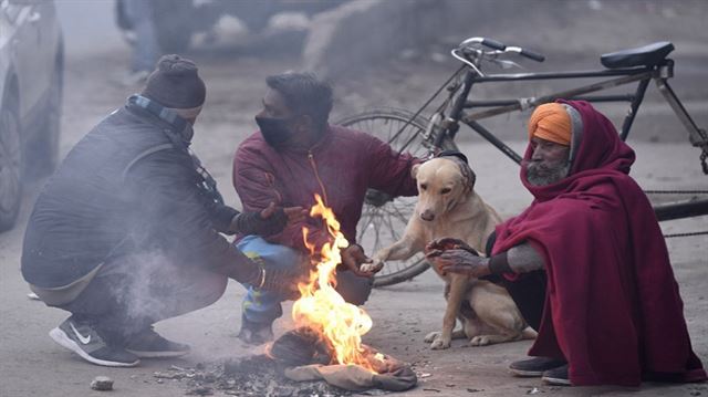 Winter : ગુજરાતમાં ઠંડીનો ચમકારો; આગામી બે દિવસમાં વધશે ઠંડીનું જોર, જાણો  ક્યાં કેટલી ઠંડી પડી