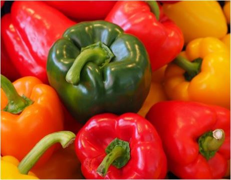 કેપ્સિકમ