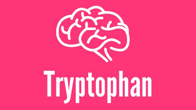 3 ટ્રીપટોફેન (Tryptophan) :
