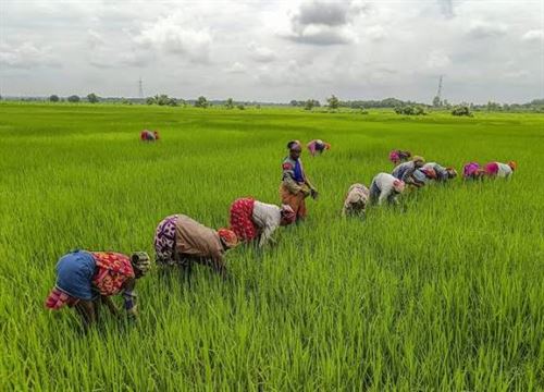 ભારતને મોટો ફાયદો થશે