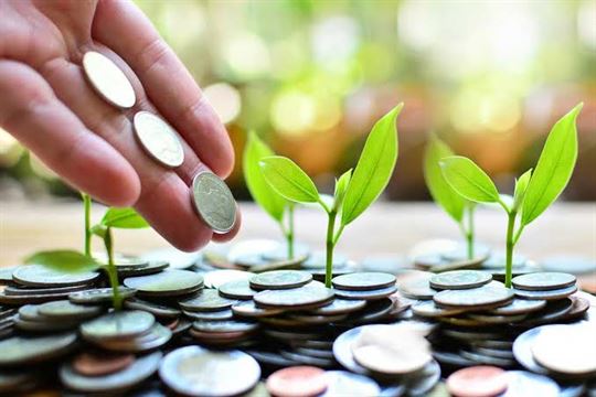 ૧. પબ્લિક પ્રોવિડન્ટ ફંડ (પીપીએફ)