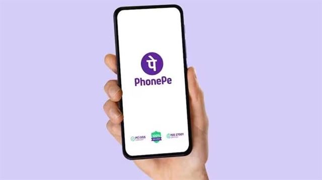 કંપનીનું નાણાકીય પ્રદર્શન કેવું છે?