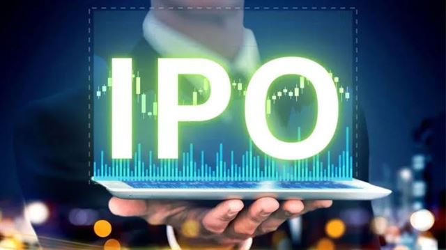 શું 2025માં પણ IPO માર્કેટમાં તેજી આવશે?