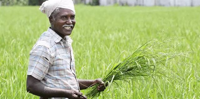 ખેડૂતો માટે ITR ફાઇલિંગ નિયમો