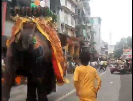 3 ગજરાજ બેકાબૂ, રથયાત્રા હાલમાં રોકાઈ