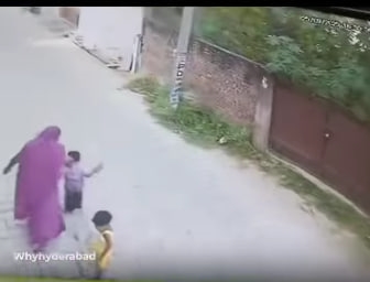 વાયરલ વીડિયોમાં શું બતાવવામાં આવ્યું છે?