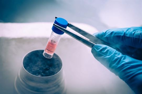 IVF ક્લિનિકમાં સુરક્ષિત છે ભ્રૂણ