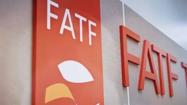 FATF પ્રમુખ એલિસા ડી એન્ડા માદ્રાઝોએ ચેતવણી આપી હતી