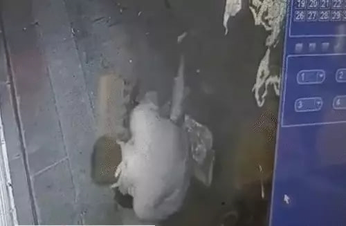 શું છે આખો મામલો