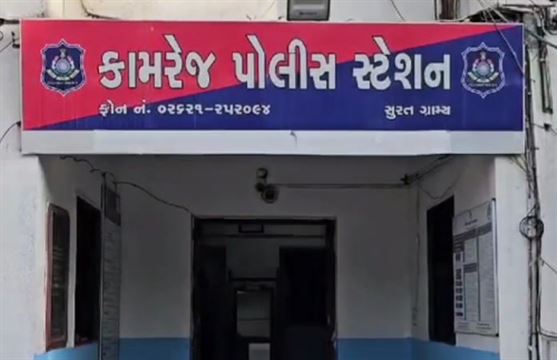 2 દિવસ અગાઉ RFOએ અજાણ્યા ઇસમો વિરુદ્ધ નોંધાવી હતી ફરિયાદ