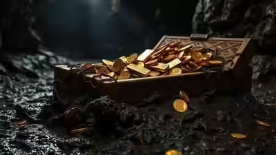 ઘરના બગીચામાં સ્વિમિંગ પૂલ માટે ખોદકામ કરી રહ્યો હતો