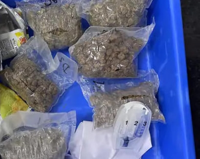 ગુજરાતના ચોક્કસ ડ્રગ્સ સપ્લાયરો માટે બેંગકોકથી ગાંજો લાવતો હતો આરોપી