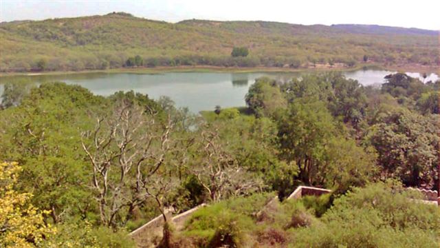 કેન્દ્રીય વન અને પર્યાવરણ મંત્રાલય દ્વારા ફોરેસ્ટ સર્વે ઓફ ઈન્ડિયાના અહેવાલના સંદર્ભે પરિભાષા: