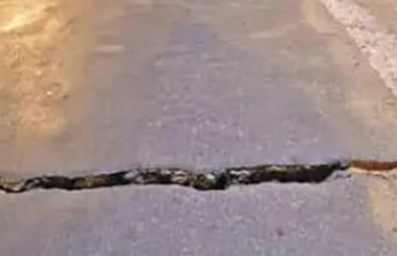 સોમવારે ટેન્ડર બહાર પડાશે